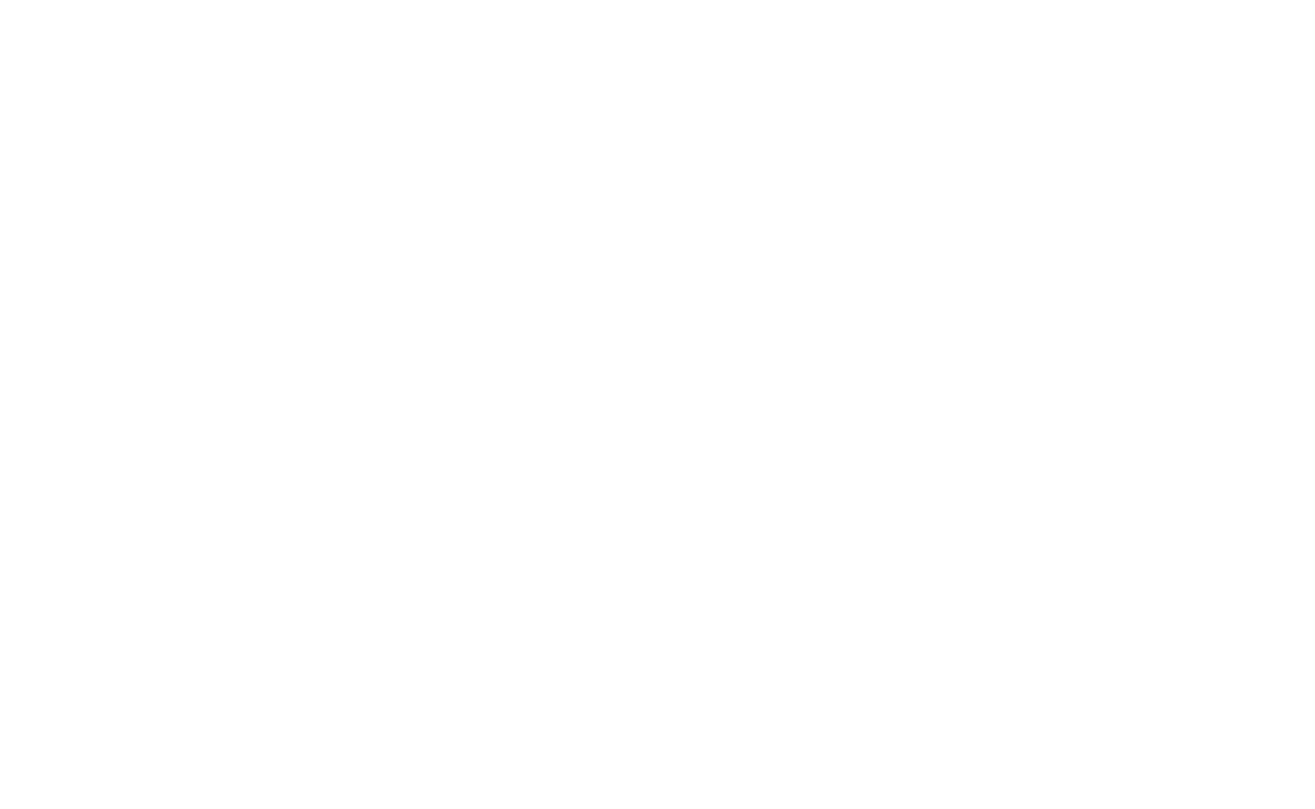 PUBBLITURCO Logo bianco